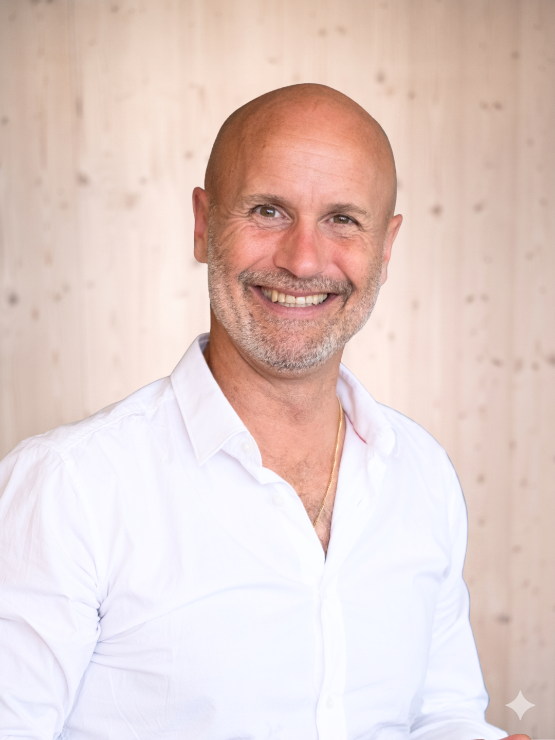 VIVAN Team Michael A Meyer